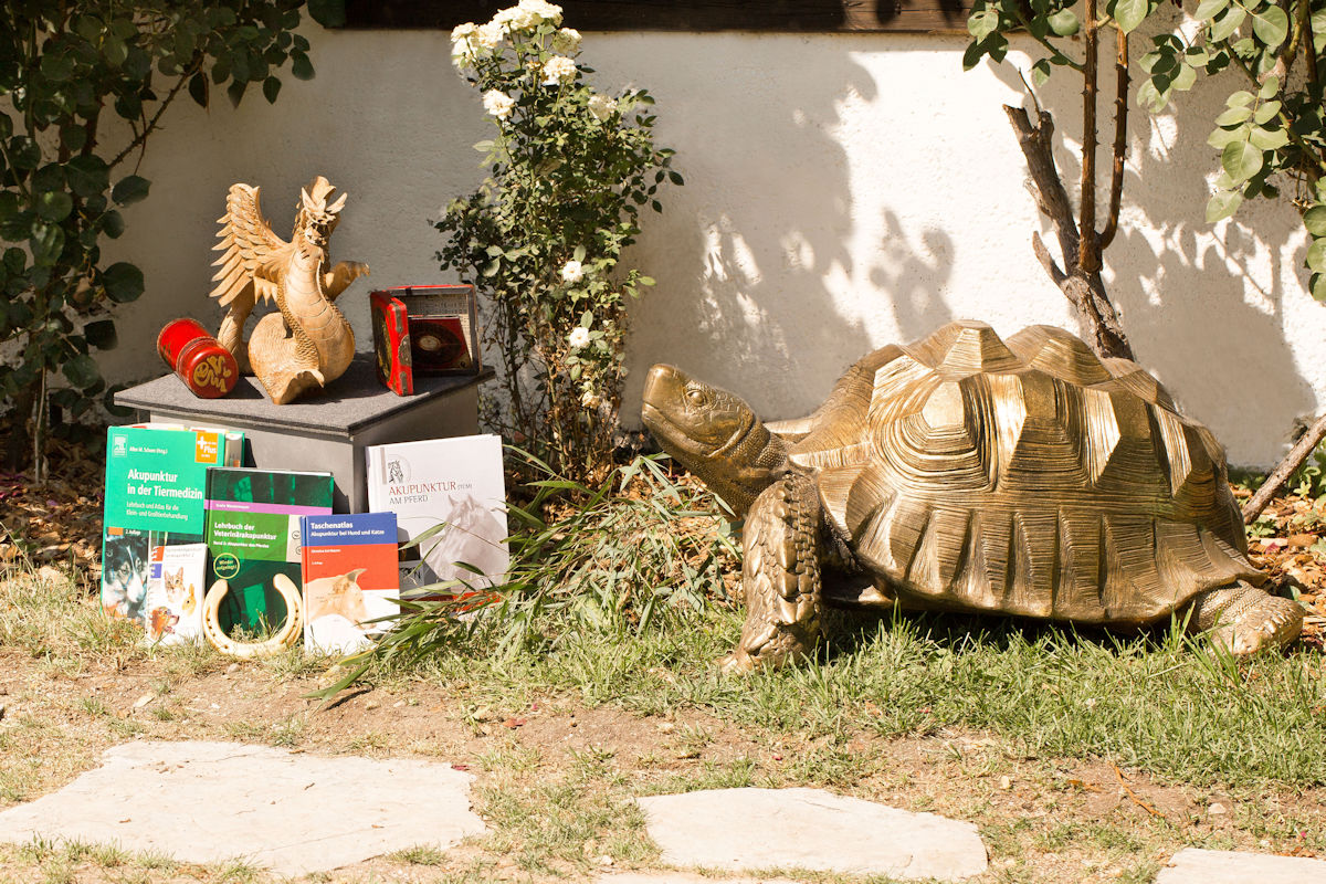 Drache und Schildkröte - Symbole für Kraft und langes Leben wachen in unserer Praxis
