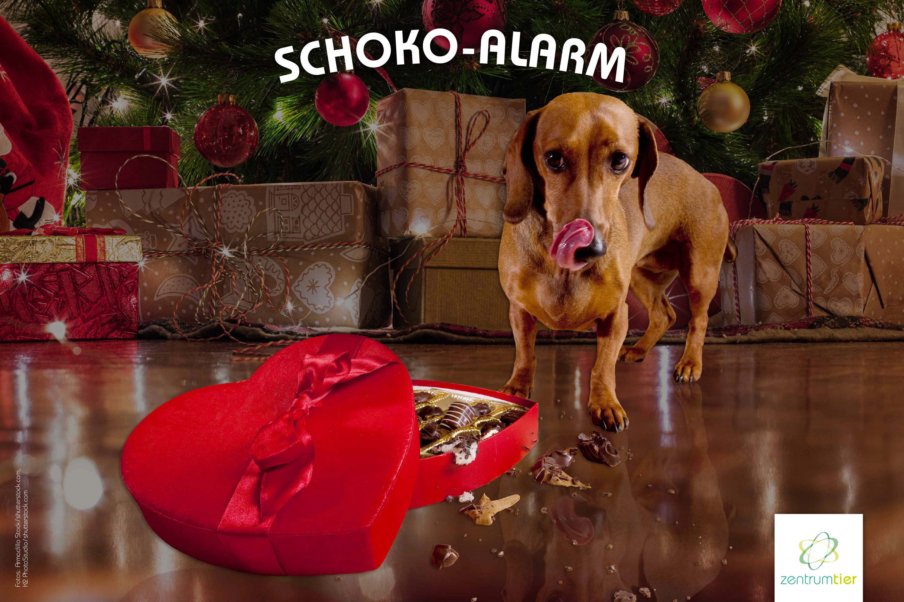 FB: Schoko-Alarm